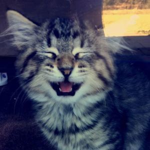 Meet your Posher, Ali